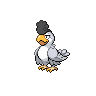 White Plumage Squawkabilly图像