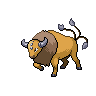Image of Tauros