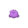Image of Ditto