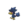 Image of Murkrow