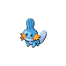 Image of Mudkip