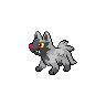 Image of Poochyena