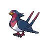 Image of Swellow