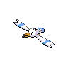 Image of Wingull