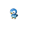Image of Piplup