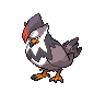 Image of Staraptor