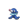 Image of Popplio