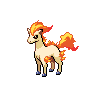 Image of Ponyta