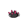 ナマコブシの画像