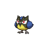 Image of Rookidee