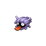 Image of Shellder