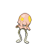ノノクラゲの画像